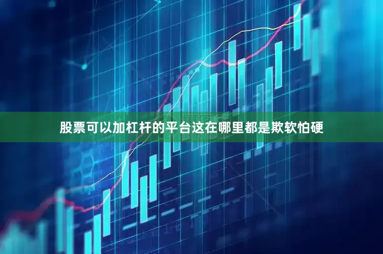 股票可以加杠杆的平台这在哪里都是欺软怕硬