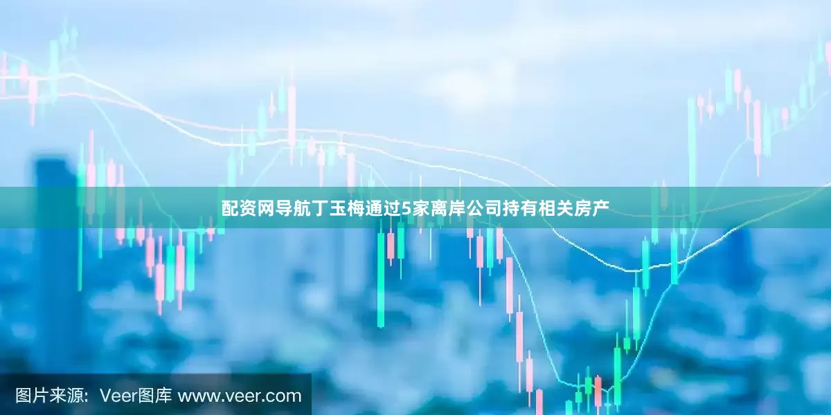 配资网导航丁玉梅通过5家离岸公司持有相关房产