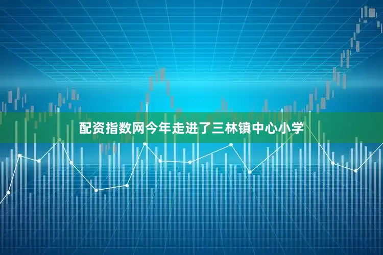 配资指数网今年走进了三林镇中心小学
